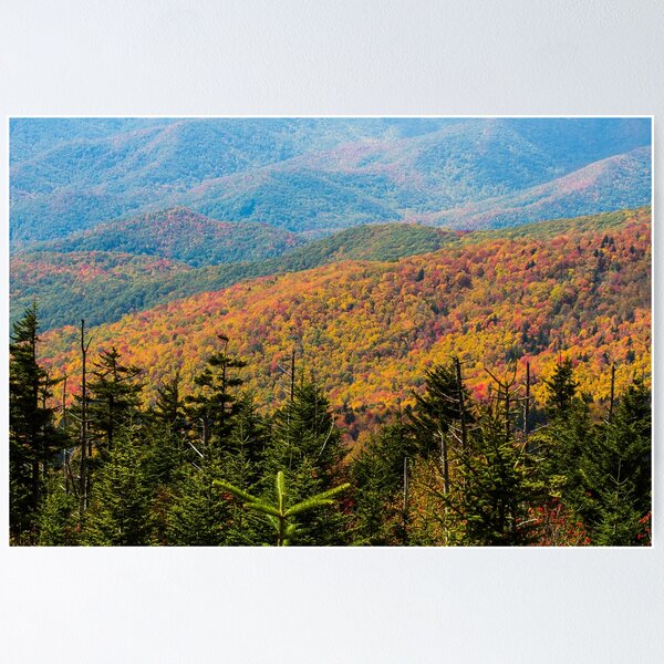 Item preview, Great Smoky Mountains in Autumn designed and sold by NateNelsonPhoto.
