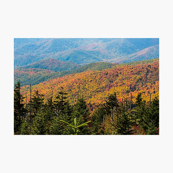 Item preview, Great Smoky Mountains in Autumn designed and sold by NateNelsonPhoto.