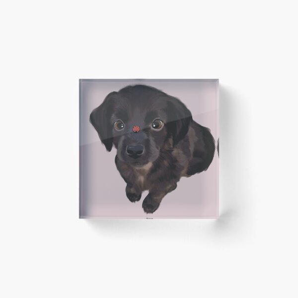 Item preview, Cute Dog with a Lady Bug designed and sold by AuraBerryArt.
