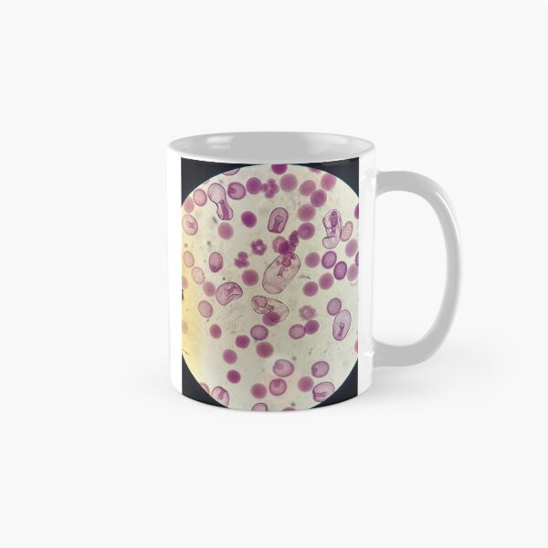Item preview, Echinoderms Early Life Stages designed and sold by HKGimages.