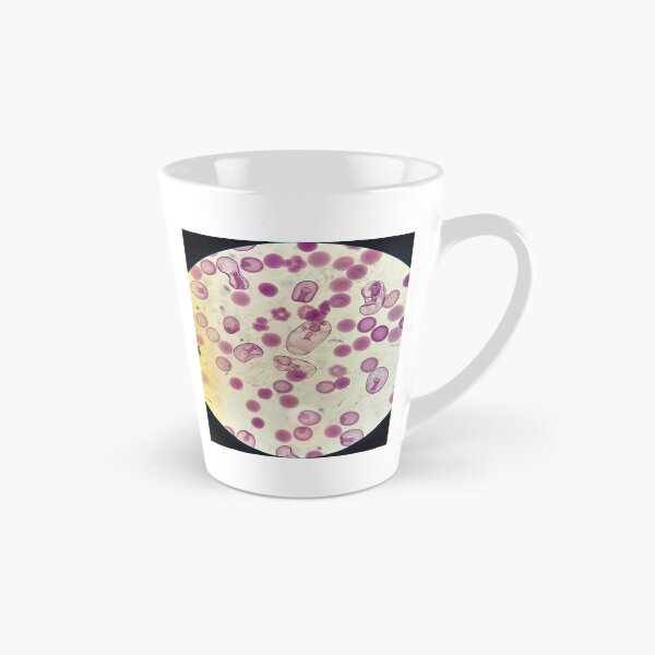 Item preview, Echinoderms Early Life Stages designed and sold by HKGimages.