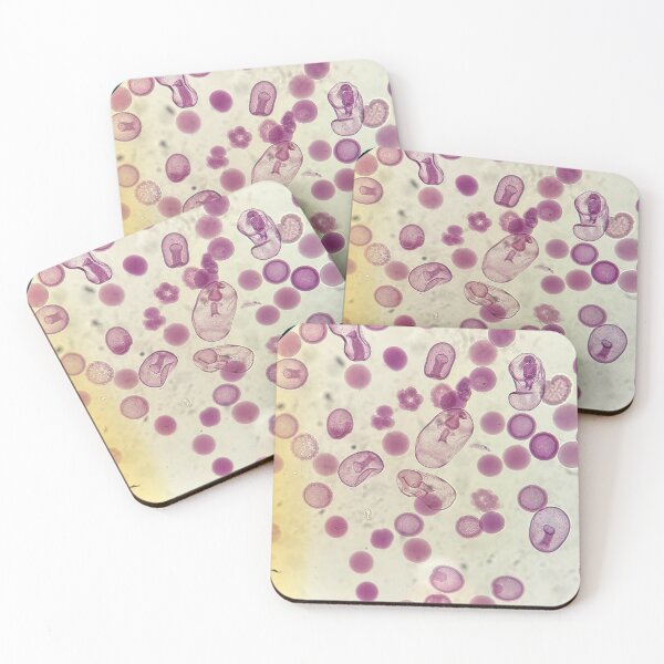 Item preview, Echinoderms Early Life Stages designed and sold by HKGimages.
