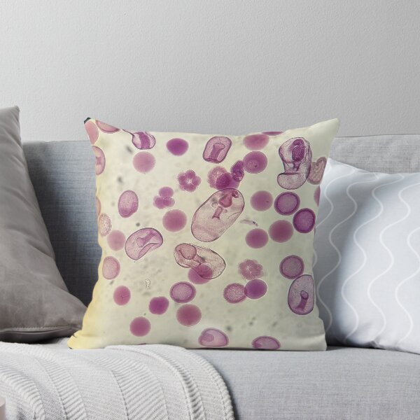 Item preview, Echinoderms Early Life Stages designed and sold by HKGimages.