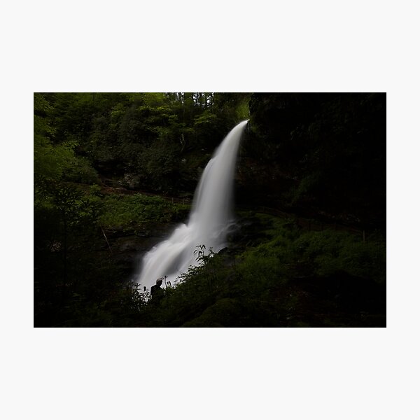 Item preview, Waterfall in the Forest designed and sold by NateNelsonPhoto.