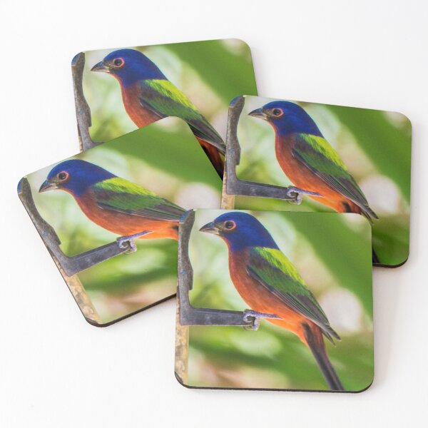 Item preview, Painted Bunting Songbird designed and sold by NateNelsonPhoto.