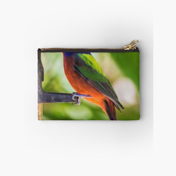 Item preview, Painted Bunting Songbird designed and sold by NateNelsonPhoto.