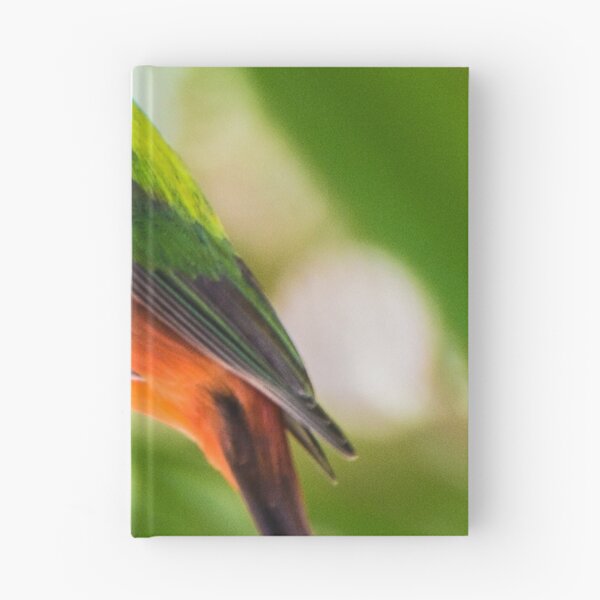 Item preview, Painted Bunting Songbird designed and sold by NateNelsonPhoto.