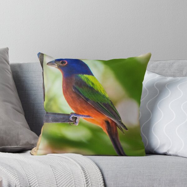 Item preview, Painted Bunting Songbird designed and sold by NateNelsonPhoto.