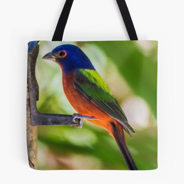 Item preview, Painted Bunting Songbird designed and sold by NateNelsonPhoto.