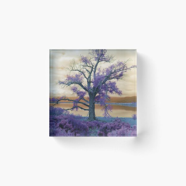 Item preview, Moody Skies at Lake Washoe designed and sold by Robert Ball.