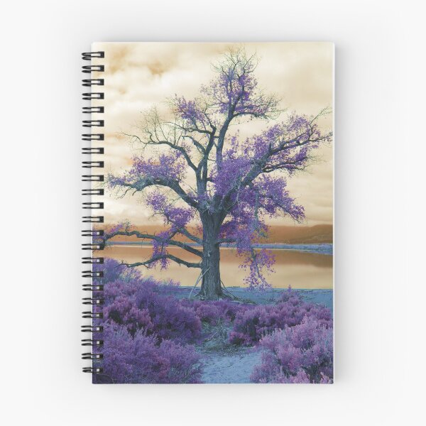 Item preview, Moody Skies at Lake Washoe designed and sold by Robert Ball.