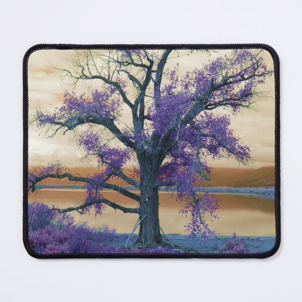 Item preview, Moody Skies at Lake Washoe designed and sold by Robert Ball.