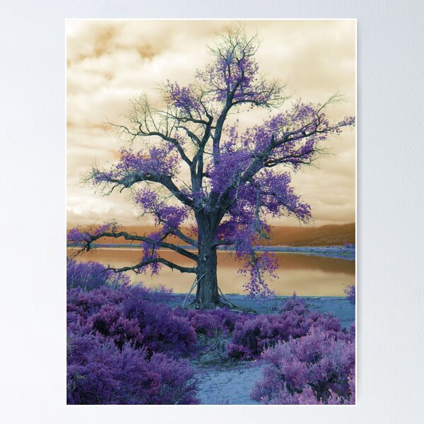 Item preview, Moody Skies at Lake Washoe designed and sold by Robert Ball.