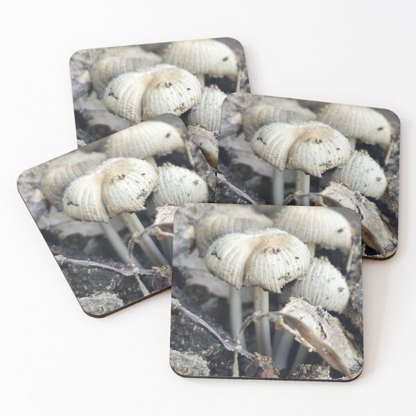 Item preview, Coprinellus Mushroom designed and sold by Lunar-Dragon.