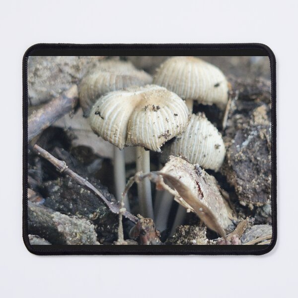 Item preview, Coprinellus Mushroom designed and sold by Lunar-Dragon.