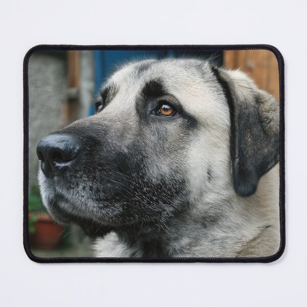 Item preview, Turkish Kangal Dog Portrait designed and sold by Elisabeth Lucas.