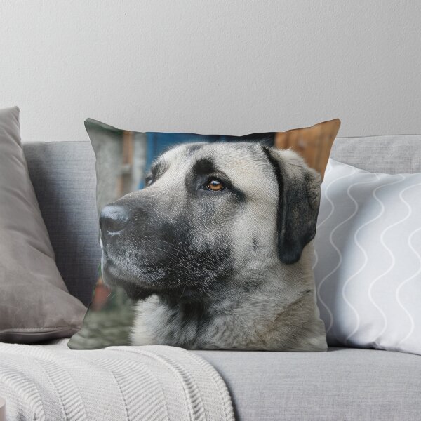 Item preview, Turkish Kangal Dog Portrait designed and sold by Elisabeth Lucas.