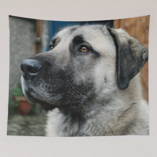 Item preview, Turkish Kangal Dog Portrait designed and sold by Elisabeth Lucas.
