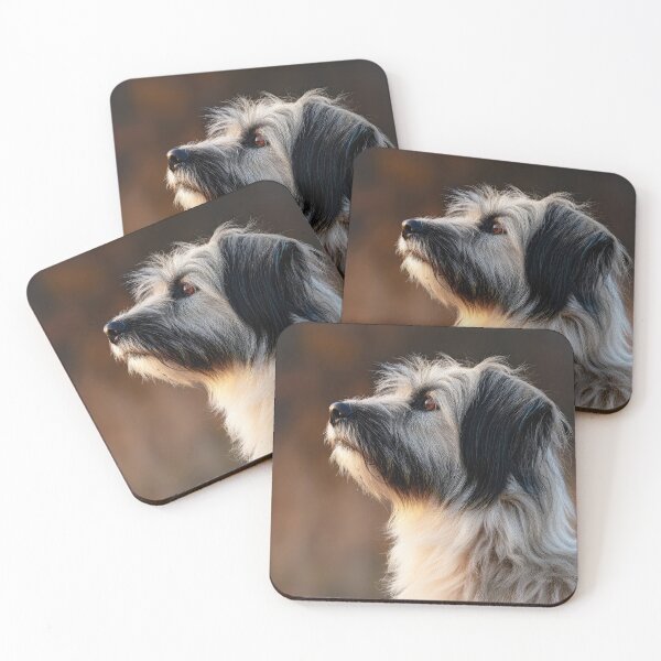 Item preview, Long Haired Pyrenean Sheepdog 02 designed and sold by Elisabeth Lucas.