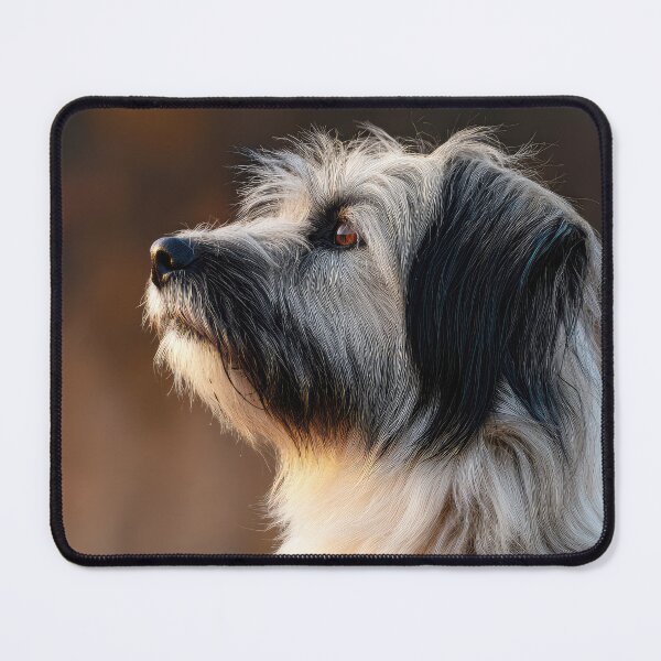 Item preview, Long Haired Pyrenean Sheepdog 02 designed and sold by Elisabeth Lucas.