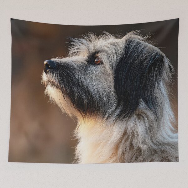 Item preview, Long Haired Pyrenean Sheepdog 02 designed and sold by Elisabeth Lucas.