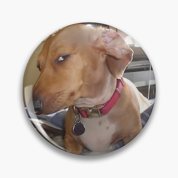 Item preview, sus dog reaction sticker designed and sold by zfeii.