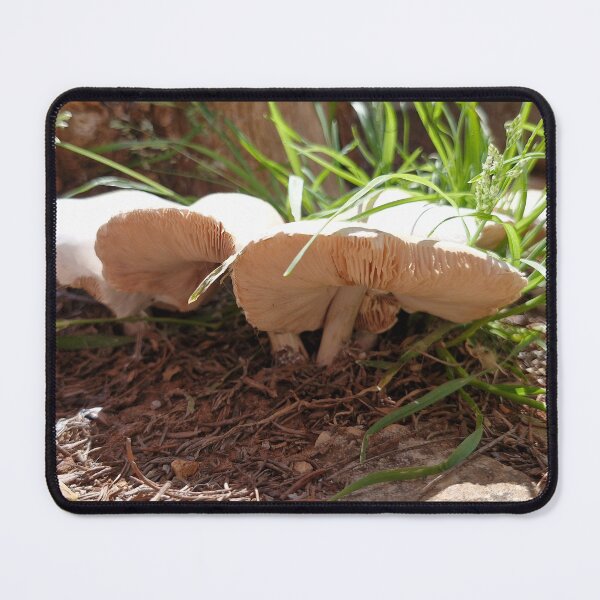 Item preview, Pluteus petasatus Mushroom designed and sold by Lunar-Dragon.