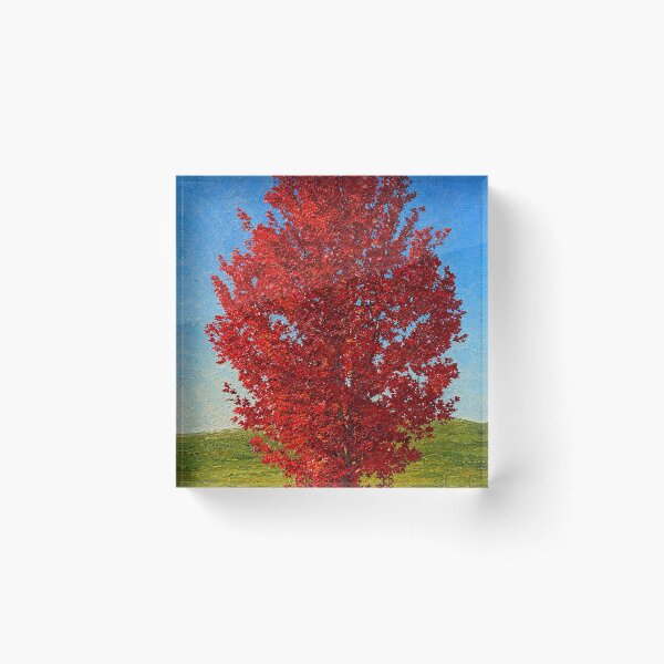 Item preview, Riverfront Primaries in Autumn designed and sold by Robert Meyers-Lussier.