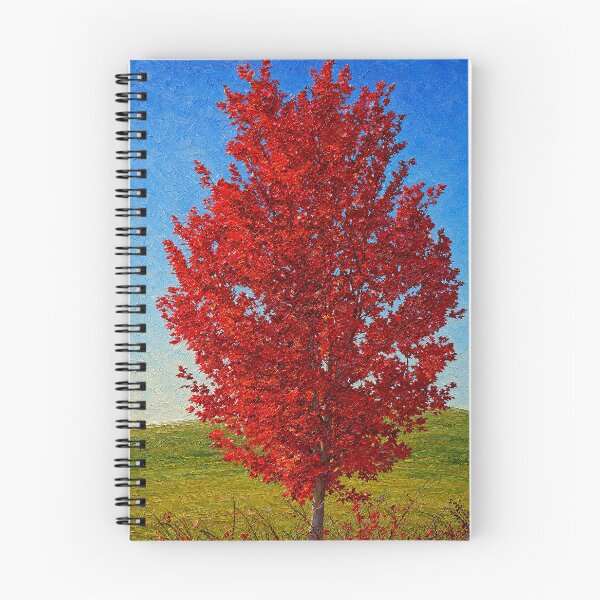 Item preview, Riverfront Primaries in Autumn designed and sold by Robert Meyers-Lussier.