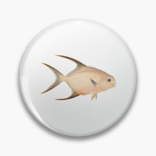Item preview, Unidentified Fish by Luigi Balugani  designed and sold by shopceline.