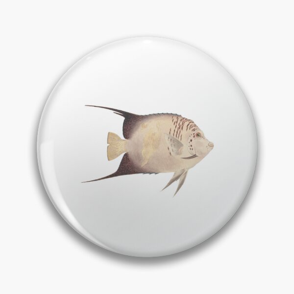 Item preview, Unidentified Fish by Luigi Balugani  designed and sold by shopceline.