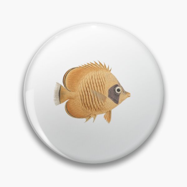 Item preview, Unidentified Fish by Luigi Balugani  designed and sold by shopceline.