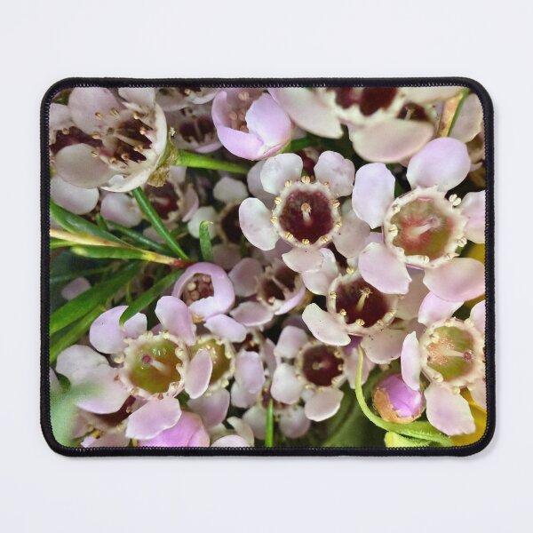 Item preview, Details of Waxflowers designed and sold by Betsy Phillips.