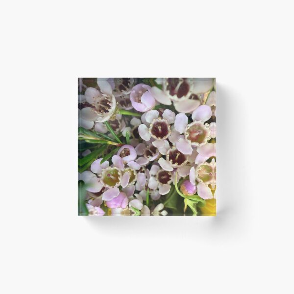 Item preview, Details of Waxflowers designed and sold by Betsy Phillips.