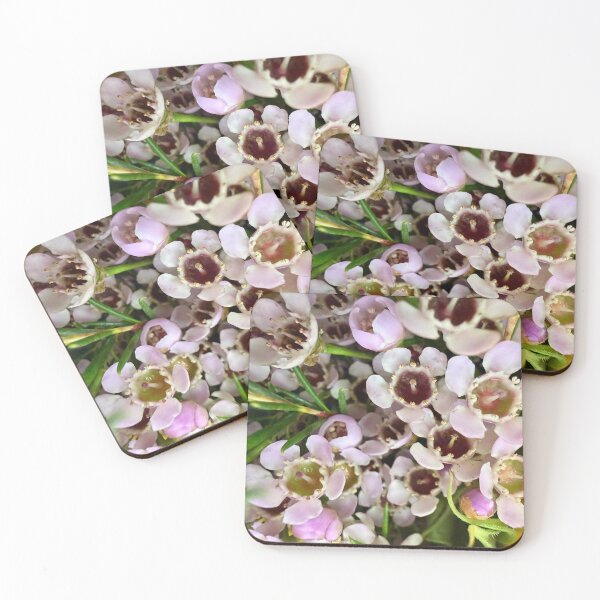 Item preview, Details of Waxflowers designed and sold by Betsy Phillips.