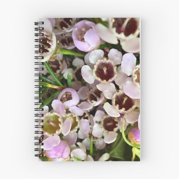 Item preview, Details of Waxflowers designed and sold by Betsy Phillips.