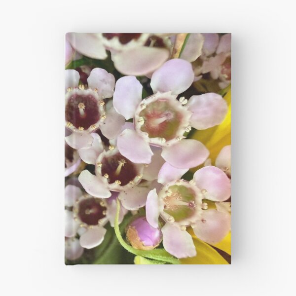 Item preview, Details of Waxflowers designed and sold by Betsy Phillips.