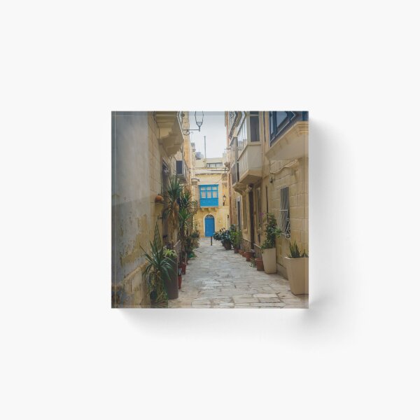 Item preview, Sunlit Narrow Mediterranean Alley With Blue Door, Stone Pavement, Potted Plants And Traditional Balconies designed and sold by Nmallia.