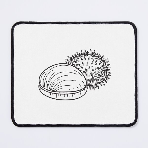 Item preview, A shell placed beside a circular sea urchin designed and sold by rasagamastore.