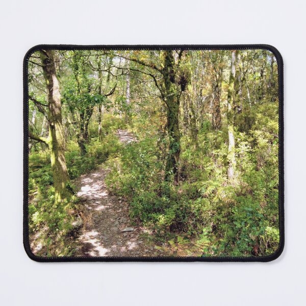 Item preview, forest walk designed and sold by KathleenDawson.