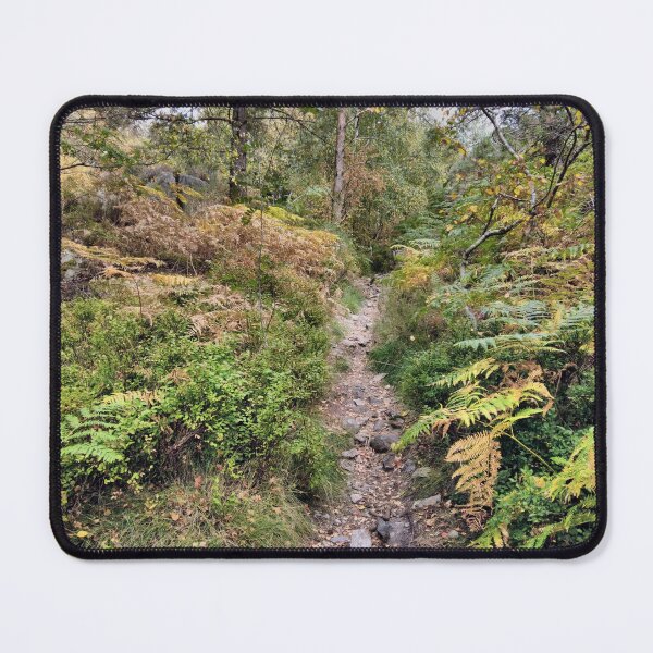 Item preview, forest walk designed and sold by KathleenDawson.