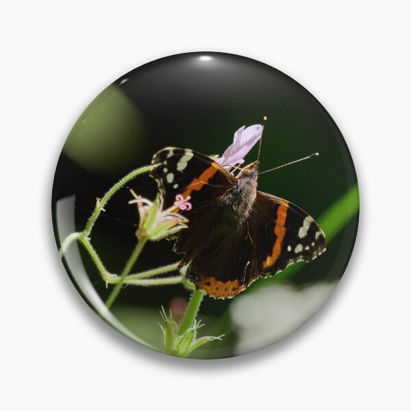 Item preview, Summer day. Red Admiral designed and sold by Jouko Lehto Photography.
