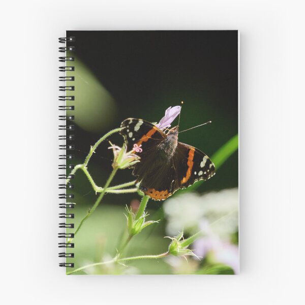 Item preview, Summer day. Red Admiral designed and sold by Jouko Lehto Photography.