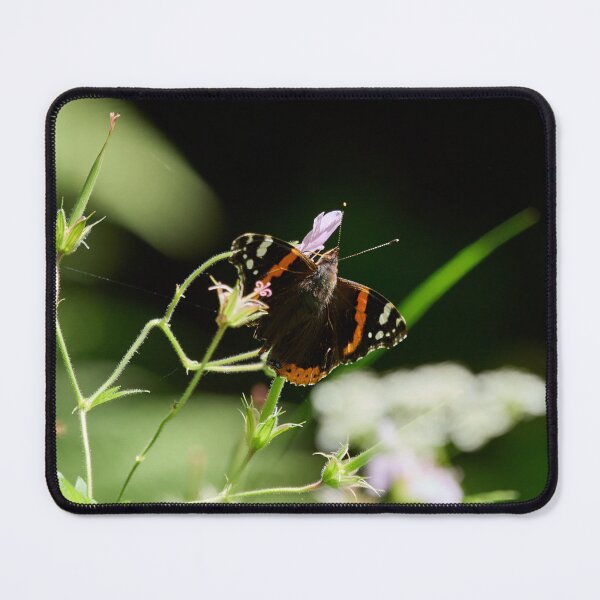 Item preview, Summer day. Red Admiral designed and sold by Jouko Lehto Photography.