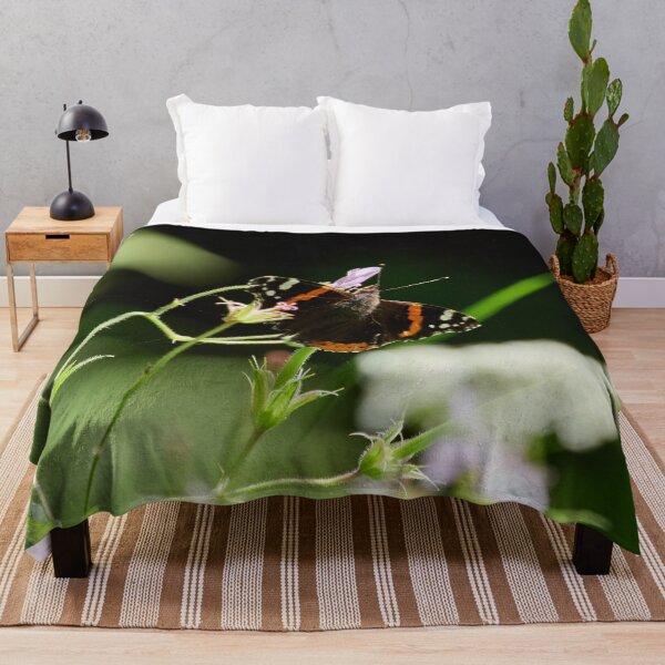 Item preview, Summer day. Red Admiral designed and sold by Jouko Lehto Photography.