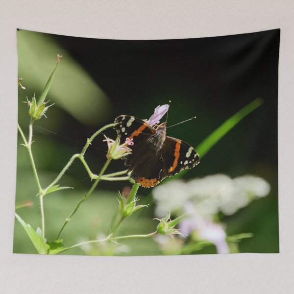 Item preview, Summer day. Red Admiral designed and sold by Jouko Lehto Photography.