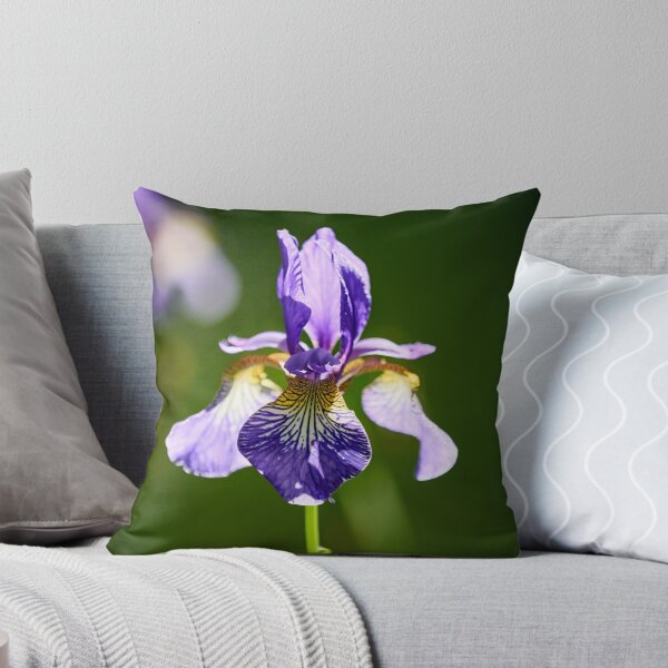 Item preview, Backlight. Siberian iris designed and sold by Jouko Lehto Photography.