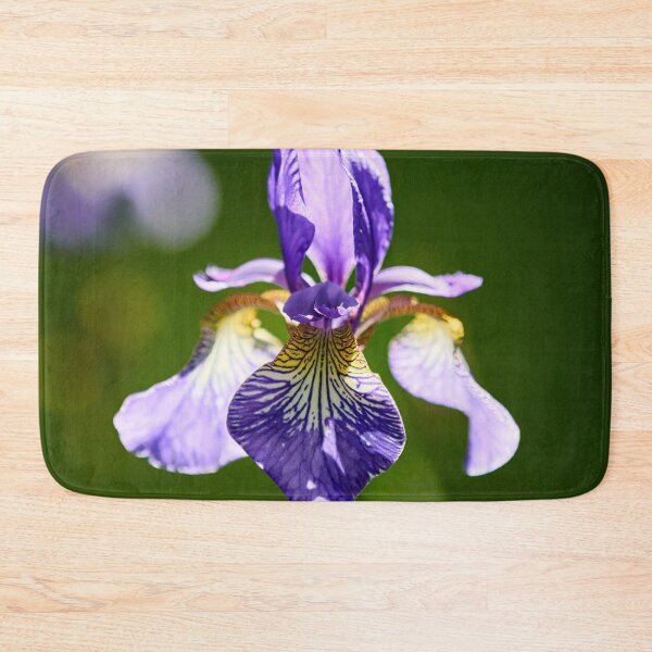 Item preview, Backlight. Siberian iris designed and sold by Jouko Lehto Photography.