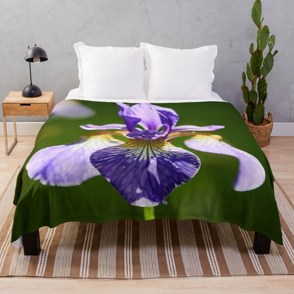 Item preview, Backlight. Siberian iris designed and sold by Jouko Lehto Photography.