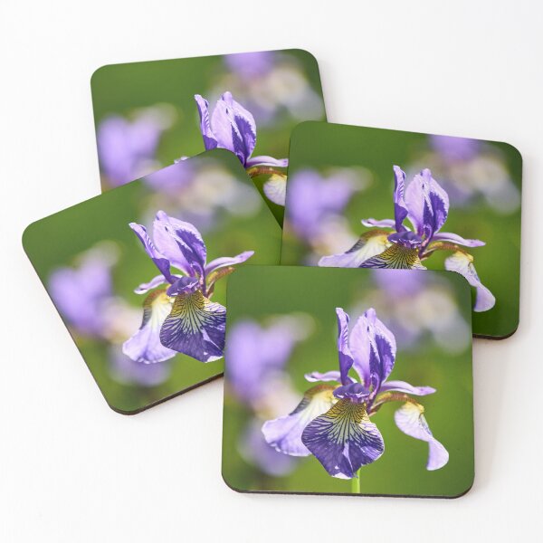 Item preview, 3x Siberian iris designed and sold by Jouko Lehto Photography.